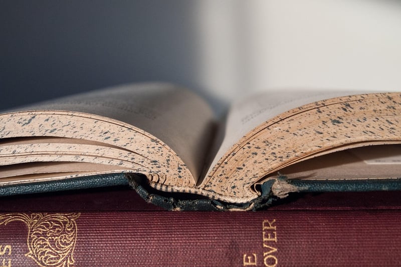 Lost Manuscript